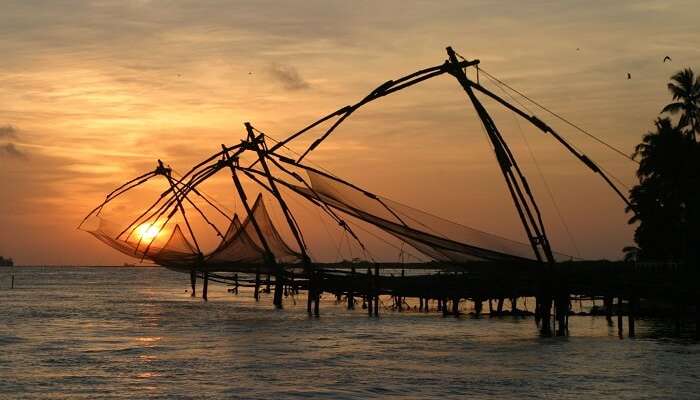 Chinese-Fishing-Nets.jpg