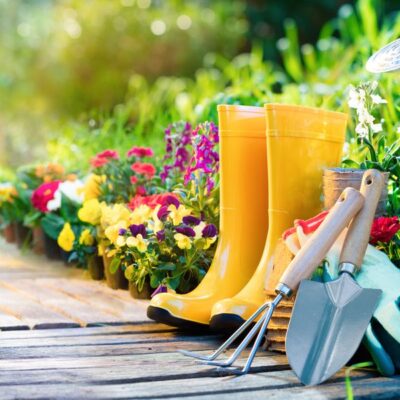 5 Sustainable Garden Tips You Should Know